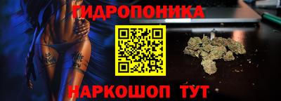 спайс Гудермес